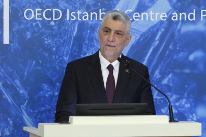 Bakan Bolat OECD 'Kritik Mineraller Forumu'nda konuştu