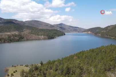 Bursa'da yağmur bereketi! Dereler coştu, Nilüfer Barajı doldu