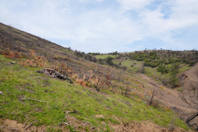 Bursa Gürsu Belediye Başkanı Işık: Yeni filizlerimize hep birlikte sahip çıkmalıyız