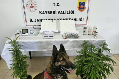 Kayseri'de uyuşturucu operasyonu