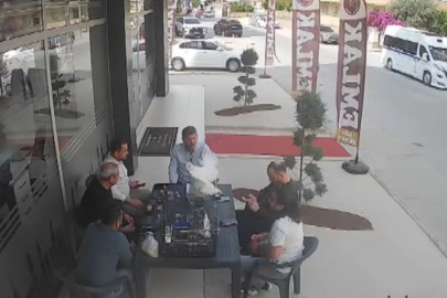 Mersin'de sohbet masasına düşen davetsiz misafir kısa süreli paniğe neden oldu
