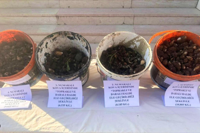 Batman Sason’da endemik bitki operasyonu: 4 kişiye 2 milyon 8 bin lira ceza