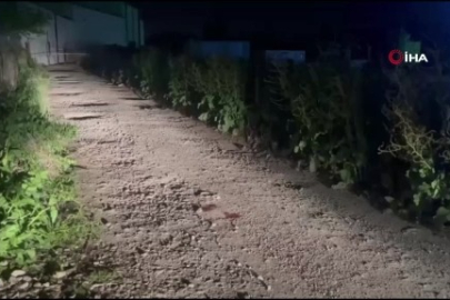 Bursa'da kanlı saldırı! Avukat hayatını kaybetti, kardeşi yaralandı