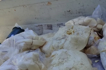 Aydın'da 11 ton süt ürünü imha edildi