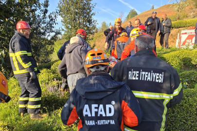 Rize'de çay bahçesine devrilen hafif ticari aracın sürücü yaralandı