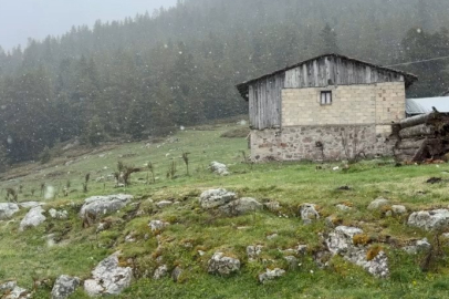Bolu'da hava sıcaklıkları düştü, yaylalar beyaza büründü