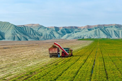 Ankara ve Aydın'da arazi toplulaştırma çalışmaları yapılacak