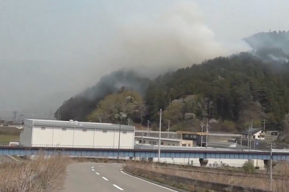 Japonya'nın kuzeydoğusundaki orman yangınları 11. gününde kontrol altına alındı