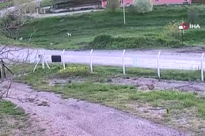 Ankara'da baba ve oğlunun köpeklerine öfkelenip komşularını darbettiği anlar kamerada