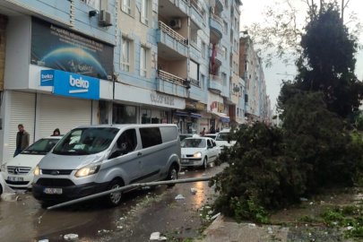 Şanlıurfa'da fırtınada üzerine elektrik direği devrilen otomobildeki 2 kişi yaralandı