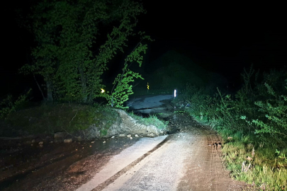 Bursa'da heyelan! Köy yoluna ağaçlar ve toprak yığınları düştü