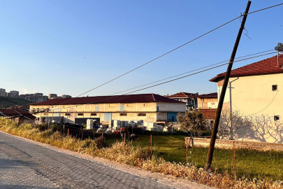 Manisa'da tır kablolara takıldı: Direkler devrildi, facia ucuz atlatıldı
