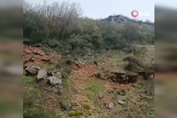 Bursa Orhaneli yolunda ayı paniği!