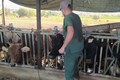 Aydın’da şap hastalığı: 17 mahallede karantina tedbirleri alındı