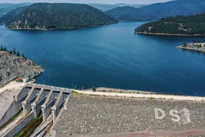 Su geldi dert bitmedi: Bursa tarımında fazla su ve hastalık mesaisi&nbsp;