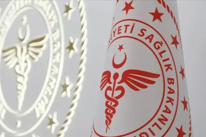 Bakanlık açıkladı! Hantavirüslü gemideki 3 Türk yurda getiriliyor