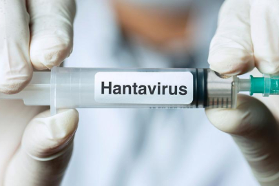 Hantavirüse karşı aşı çalışması başlatıldı!