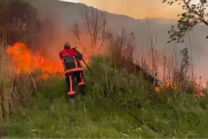 Elazığ'da otluk alanda yangın