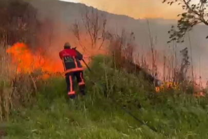 Elazığ'da otluk alanda yangın