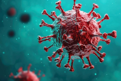 Sağlık Bakanlığı ülkeye getirilen 3 Türk vatandaşın test sonuçlarını açıkladı