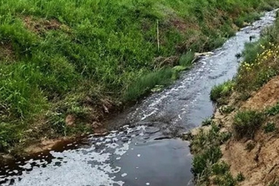 Sinop’ta çevreyi kirleten tesise 1.6 milyon TL ceza