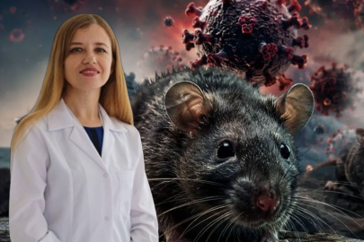 Uzman isimden Bursa için Hantavirüs uyarısı! Fare, sıçan ve hamster...