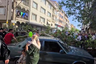 Bursa'da motosiklet sürücüsü devrilen ağacın altında kaldı