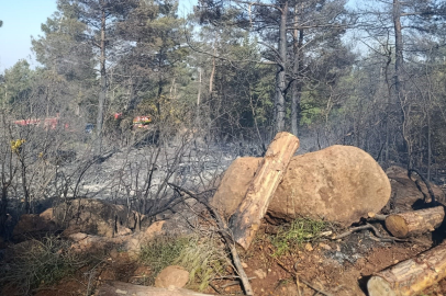 Hatay’da ormanı yangını çıktı