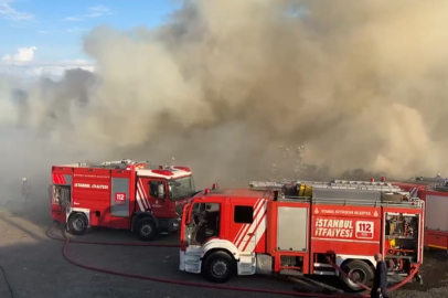 İstanbul Ümraniye’de hayvan barınağı yakınında korkutan yangın