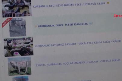İnternette kurbanlık ticaretine 'sahte fotoğraf ve ilan' uyarısı!