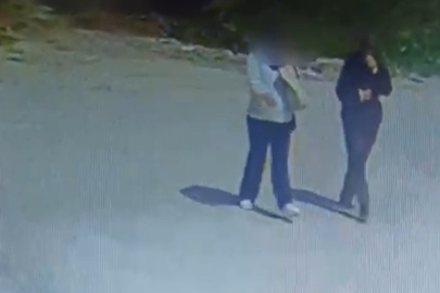 Sakarya'da evlerden hırsızlık yapan iki kadın kıskıvrak yakalandı