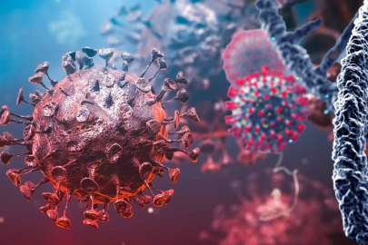 Bahreyn, ebola salgını nedeniyle 3 Afrika ülkesinden girişleri durdurdu