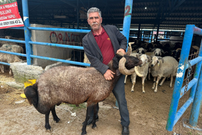 Bursa’daki kurban pazarında besicinin isyanı: Daha satmadan 650 bin lira gitti!