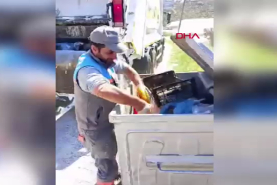 Çöp konteynerine atılan kaplumbağa kurtarıldı