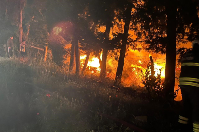Hatay Arsuz'da ağaçlık alan alevlere teslim oldu