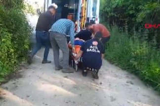 Kastamonu Cide’de bal arısı hastanelik etti