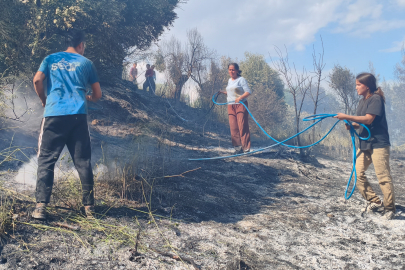 Antalya'da ormanlık alanda yangın