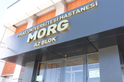 Elazığ'da 5. kattan düşen genç kız hayatını kaybetti