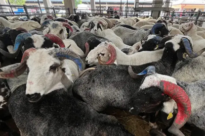 Bursa’da kurban kesim noktaları belli oldu! İşte ilçe ilçe resmi kesim alanları...