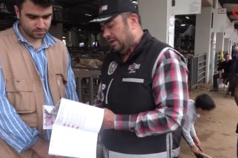 Bursa'da kurban pazarında güldüren anlar! Mali polis çetin pazarlığa dahil oldu