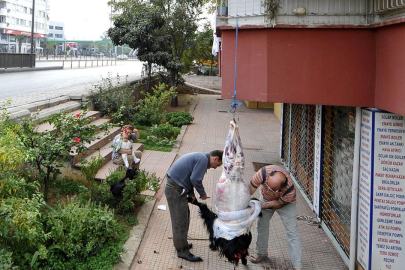 Sokakta kurban kesip, atıklarını gömenlere 29 bin 529 lira ceza