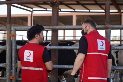 Türk Kızılayın kurban bağışı kampanyası tatil günlerinde de sürüyor