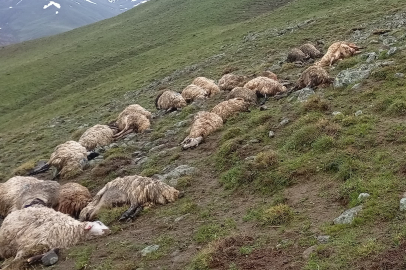 Van'da yıldırım isabet eden 30 küçükbaş hayvan telef oldu