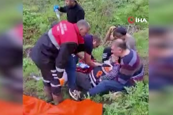 Sivas'ta mantar toplarken ayı saldırısına uğradı