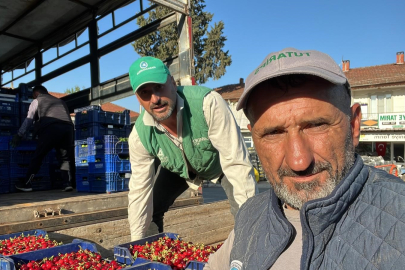Bursa İznik’te mevsimin ilk karabodur kirazı hasadı başladı