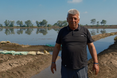 Bursa'da dron ile çeltik ekimi