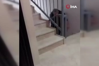 Bursa'da kesmek için büyükbaş hayvanı 6'ıncı kata çıkardı