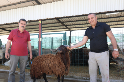 Bursa İnegöl'de modern hayvan pazarı Kurban Bayramı'nda yüzleri güldürdü