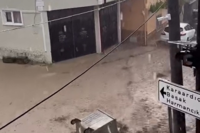 Bursa'nın dağ ilçesini sel vurdu; evleri su bastı, çatı çöktü