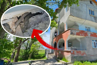 Muş’taki bu evi adeta yılanlar bastı! Tuvaletten bile çıkıyorlar...